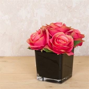 Faux Coral Roses in Black Cube