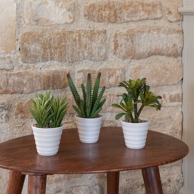 Set of 3 Faux Potted Succulents