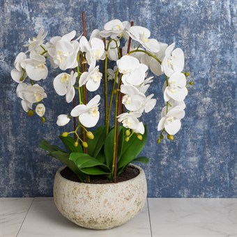 Large Faux Orchid in Clay Pot