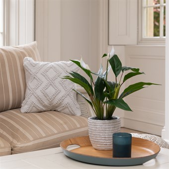 Faux Potted Peace Lily