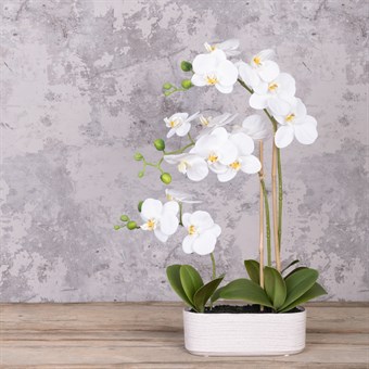 Faux Orchid in Oval Pot
