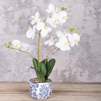 Faux Orchid in Porcelain Pot