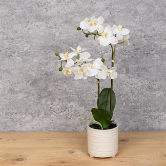 Faux Orchid in ridged ceramic pot