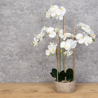 Large Faux Orchid in rustic pot