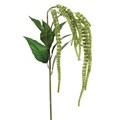 Amaranthus Spray 110cm