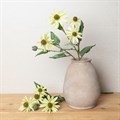 Faux Echinacea Green