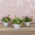 Set of 3 Potted Faux Heathers