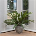 Artificial Fern Plant in Ridged Pot