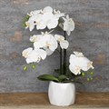 Classic Potted Faux Orchid