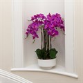 Artificial Purple Orchid in Ceramic Pot