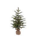 Faux Pine Tree in Burlap 66cm
