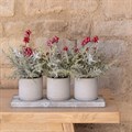 Trio of Faux Snowy Cypress & Berry Pots
