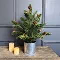 Potted Pine Tree in Tin Pot 43cm