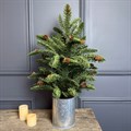 Potted Pine Tree in Tin Pot 60cm