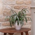 Artificial Sparkle Pine in White Pot