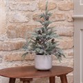 Frosted Faux Pine Tree in Pot 44cm