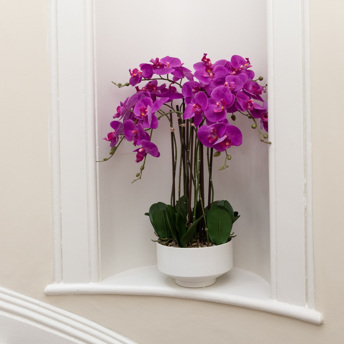 thumbnail interactive-video image 1 of Artificial Dark Royal Purple Phalaenopsis Orchid Stem - Silk Flower Stem For Home Decor, Weddings, All Occasions 1 of 6