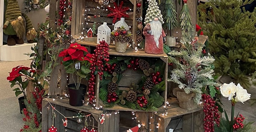 traditional christmas trees and decorations in greens and reds